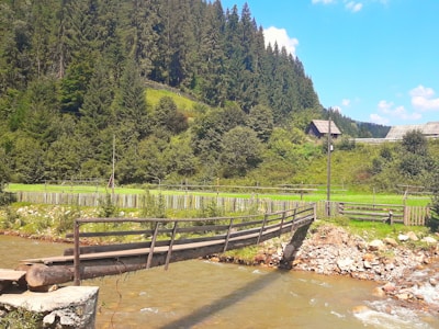 Runner crossing a wooden bridge over a clear stream.