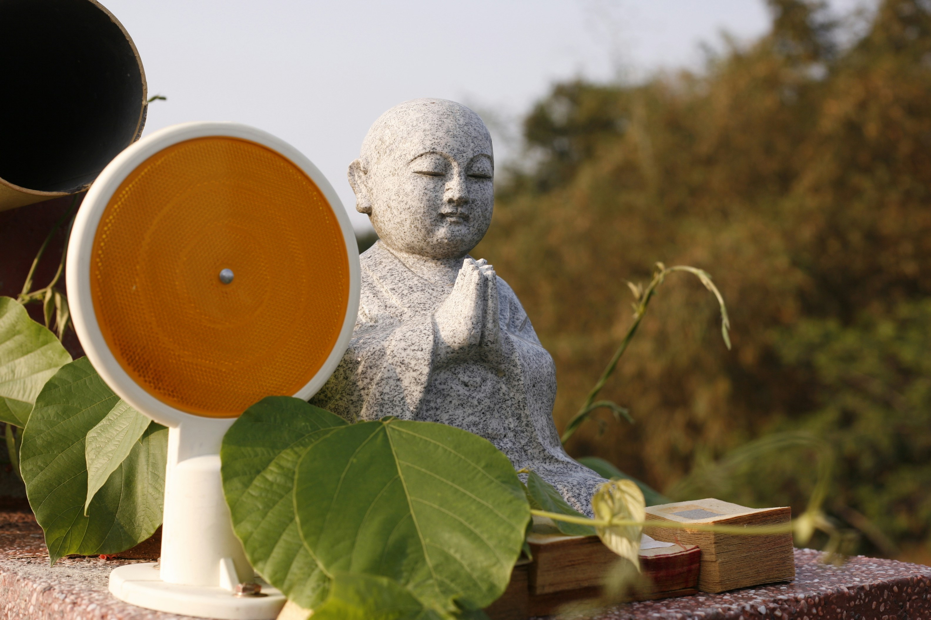 Buddha statuette beside plants