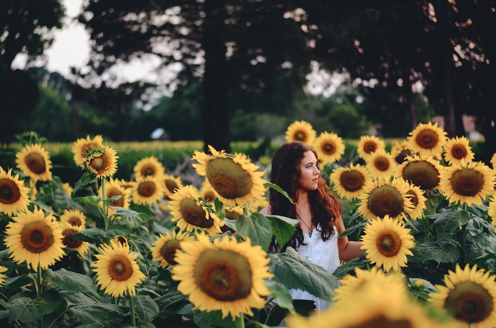 woman standing surrounded with yellow sunflowers