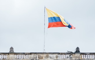 waving flag