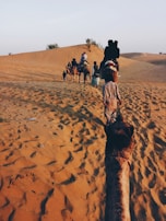 A line of camels with riders travel across a sandy desert landscape. The scene captures the footprints left in the sand, with a few sparse bushes visible in the distance under a clear sky.