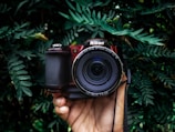 A hand is holding a Nikon camera surrounded by lush green foliage. The camera has a clear, wide lens, and the scene provides a striking contrast between the mechanical equipment and the organic environment.