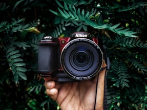 A hand is holding a Nikon camera surrounded by lush green foliage. The camera has a clear, wide lens, and the scene provides a striking contrast between the mechanical equipment and the organic environment.