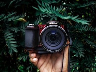 A hand is holding a Nikon camera surrounded by lush green foliage. The camera has a clear, wide lens, and the scene provides a striking contrast between the mechanical equipment and the organic environment.