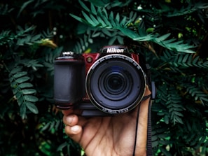 A hand is holding a Nikon camera surrounded by lush green foliage. The camera has a clear, wide lens, and the scene provides a striking contrast between the mechanical equipment and the organic environment.