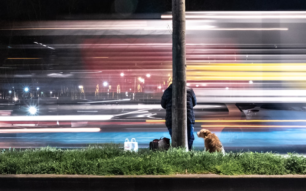 person leaning on post beside dog in timelapse photo