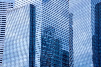 curtain wall building during daytime