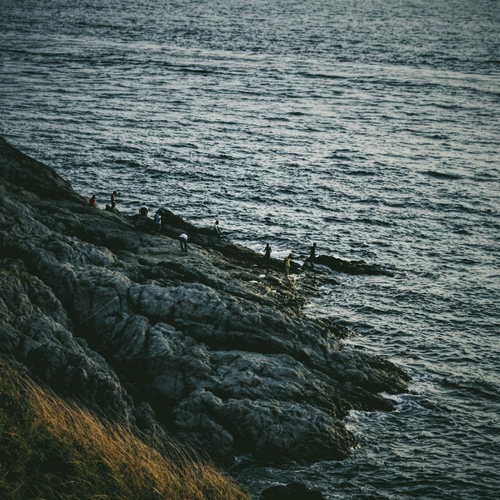 people gathering at the beach