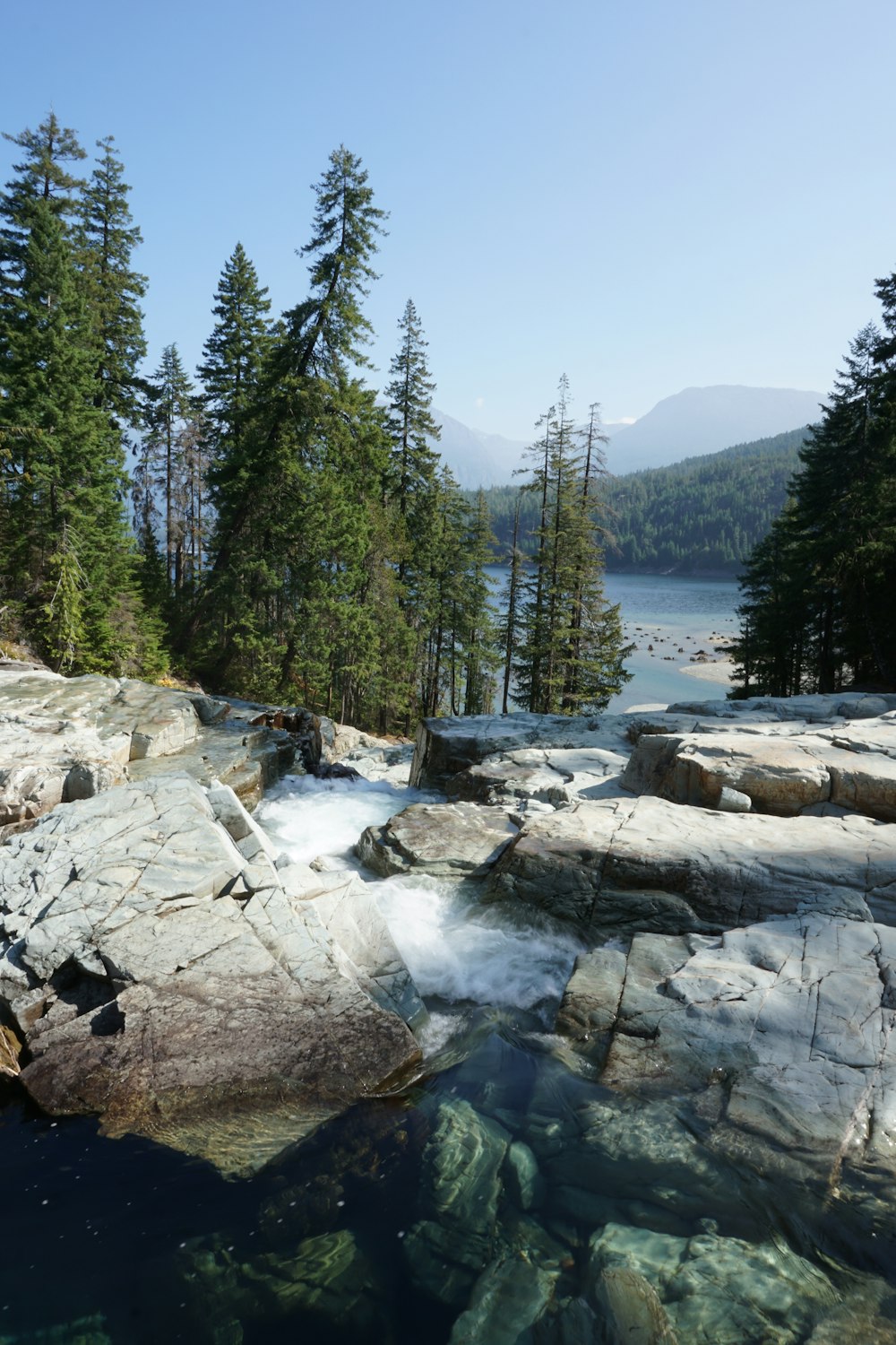 body of water on gray rocks near pine trees