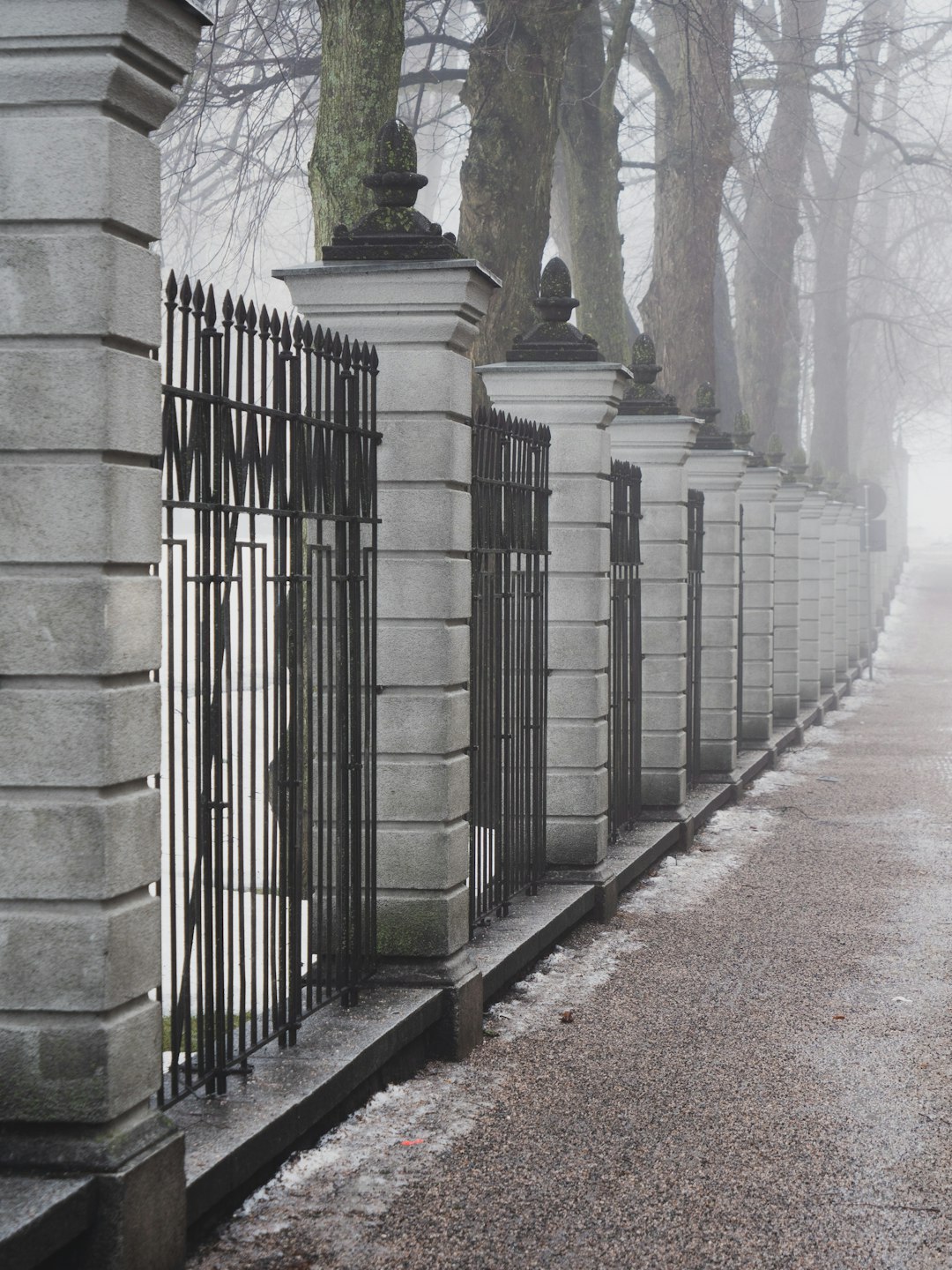 black metal fence beside tall trees