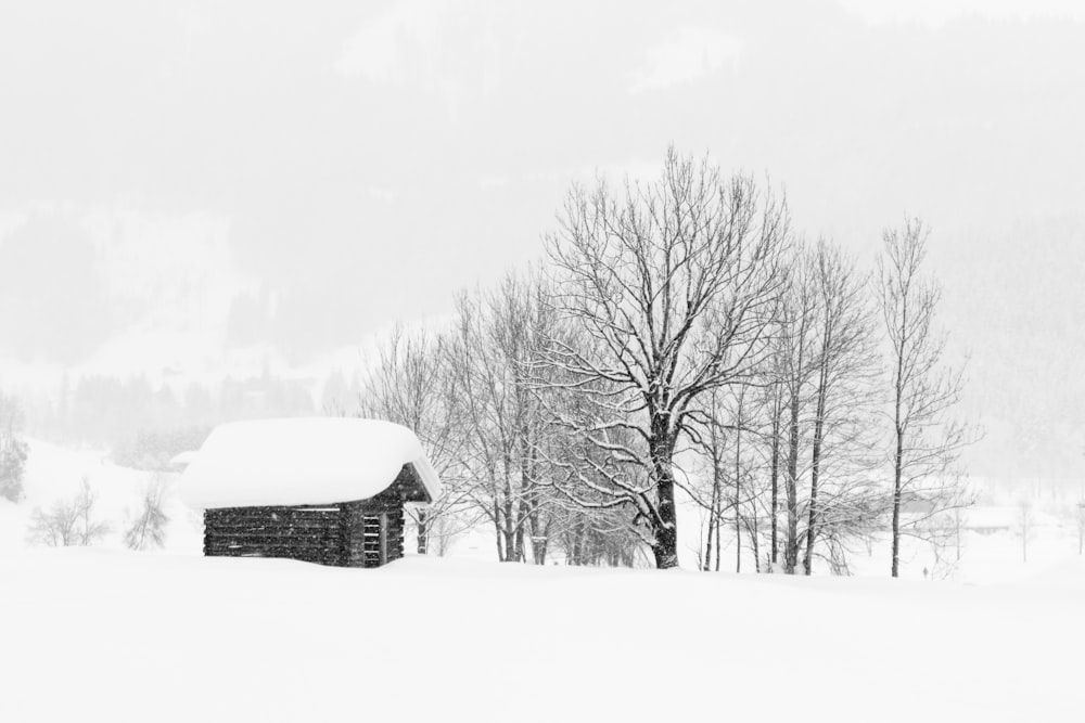 snow covered field and house roof and bare trees