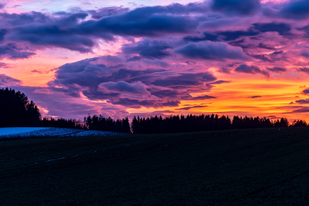 silhouette of trees under orange sky