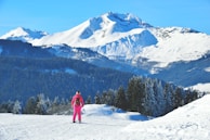 A skier wearing bright pink gear stands on a snowy slope, surrounded by a stunning winter landscape. Snow-covered trees and vast mountains create a serene, natural backdrop under a clear blue sky.