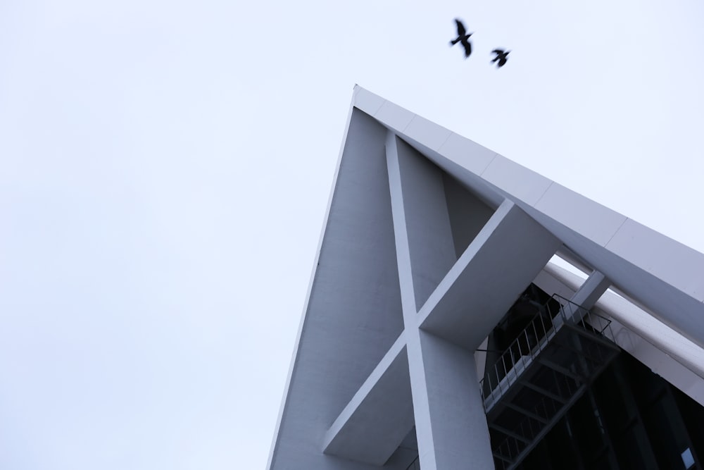 low-angle photography of building under birds flying in sky
