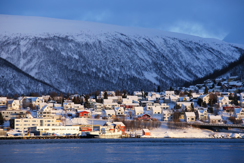 houses across body of water