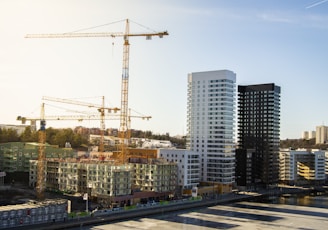 aerial view photography of architecture building