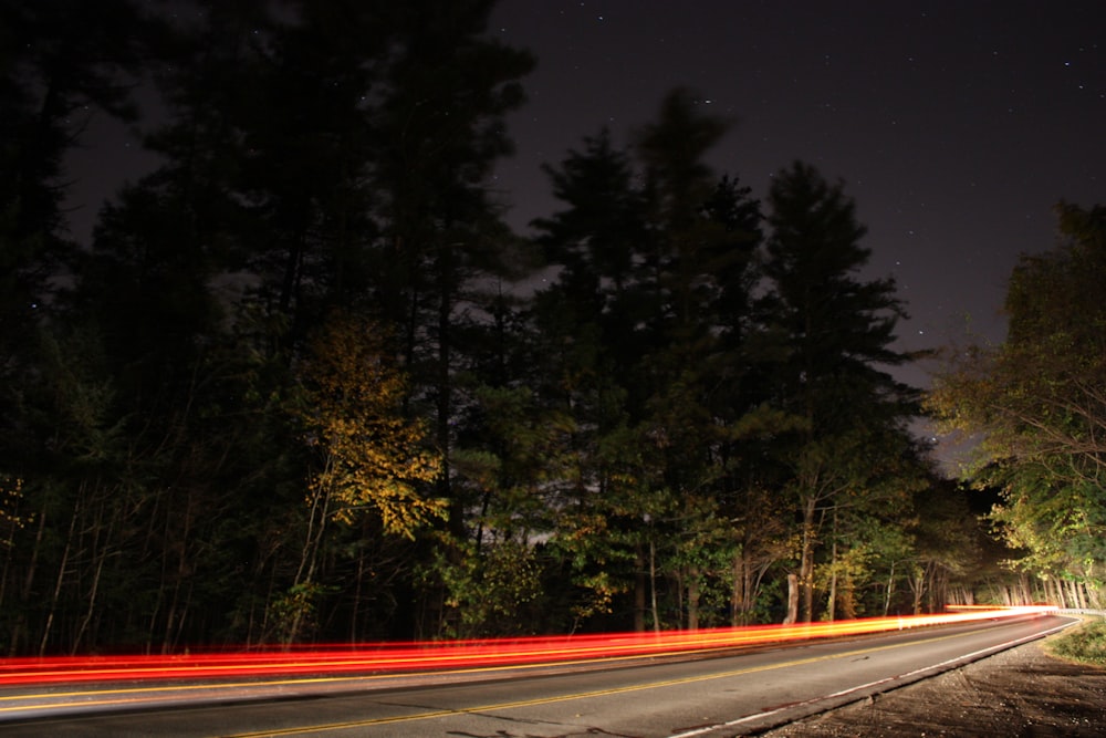 trees and road