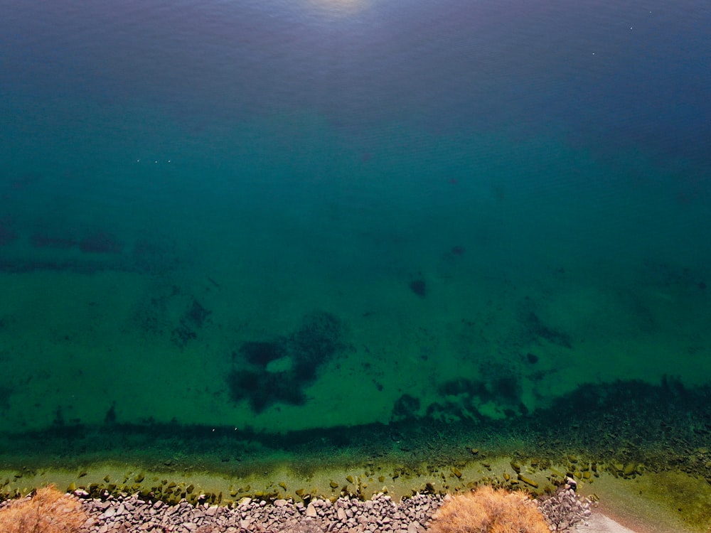 aerial photography of body of water during daytime