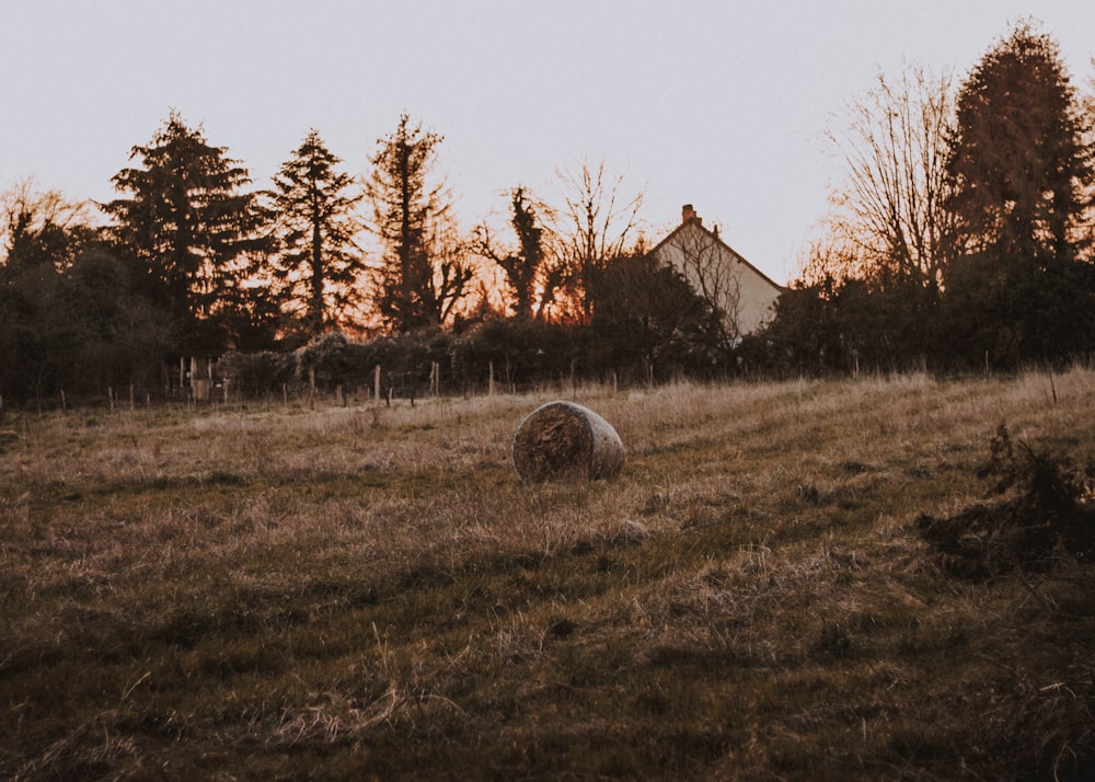 brown and white painted barn