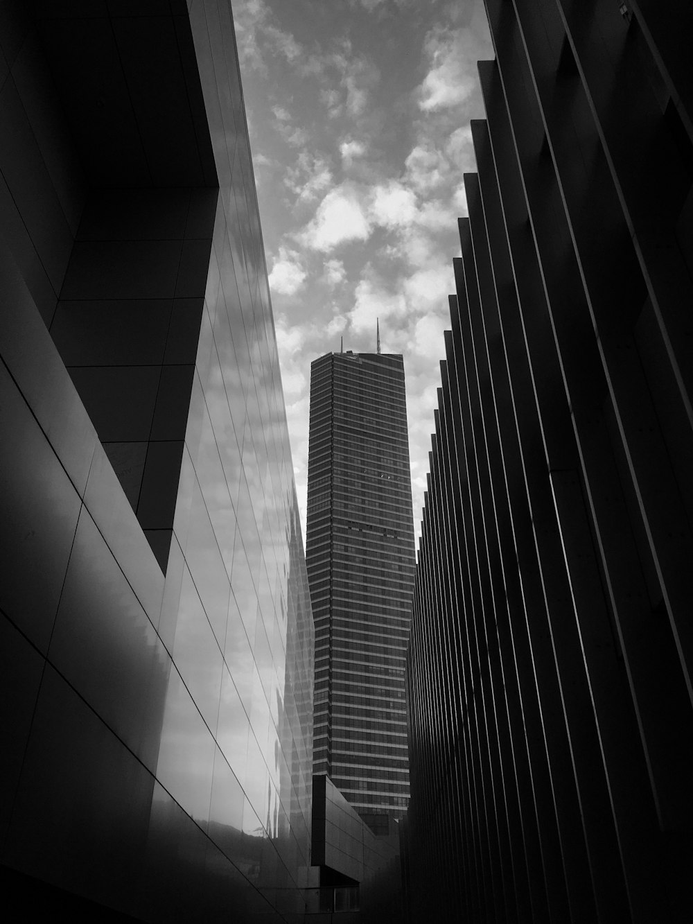 a black and white photo of tall buildings