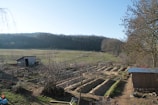 A rural landscape featuring a small agricultural plot with rows of mounded earth, likely for planting. A simple wooden shed is positioned on the left side, surrounded by a wire fence. The setting includes open fields and a forested backdrop of leafless trees under a clear blue sky. Another structure sits on the right side, with scattered gardening tools and chairs nearby.