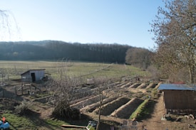 A rural landscape featuring a small agricultural plot with rows of mounded earth, likely for planting. A simple wooden shed is positioned on the left side, surrounded by a wire fence. The setting includes open fields and a forested backdrop of leafless trees under a clear blue sky. Another structure sits on the right side, with scattered gardening tools and chairs nearby.