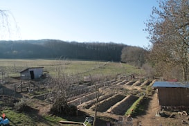 A rural landscape featuring a small agricultural plot with rows of mounded earth, likely for planting. A simple wooden shed is positioned on the left side, surrounded by a wire fence. The setting includes open fields and a forested backdrop of leafless trees under a clear blue sky. Another structure sits on the right side, with scattered gardening tools and chairs nearby.