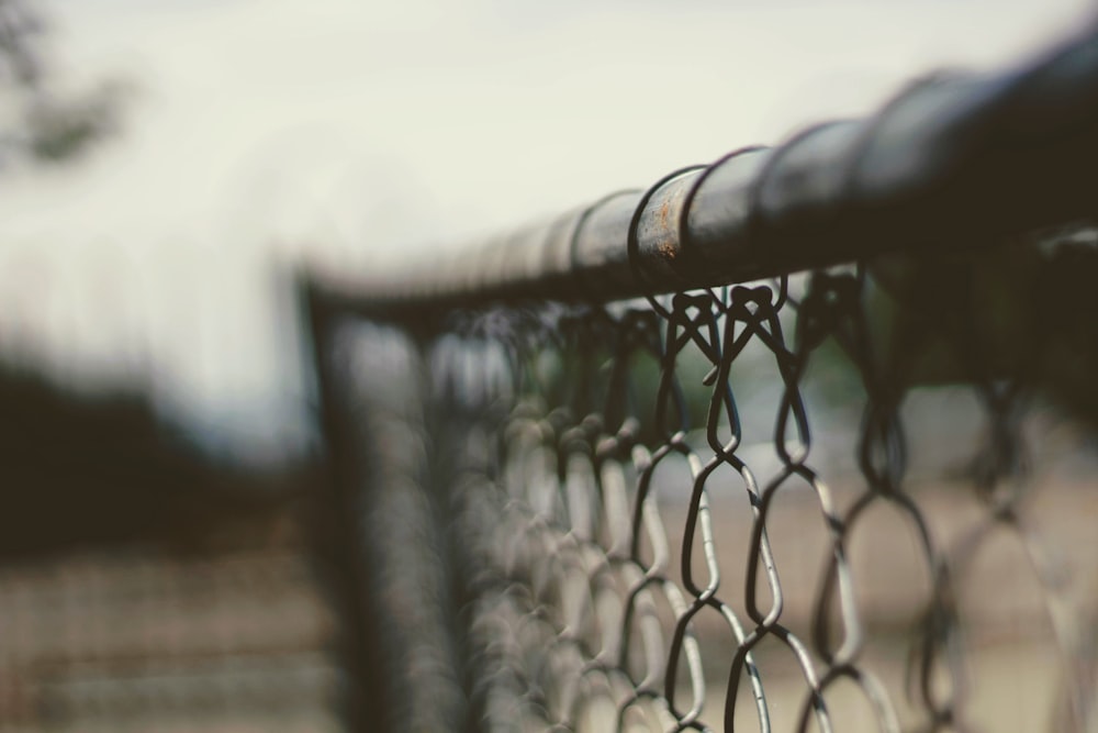 selective focus photography of chain link fence