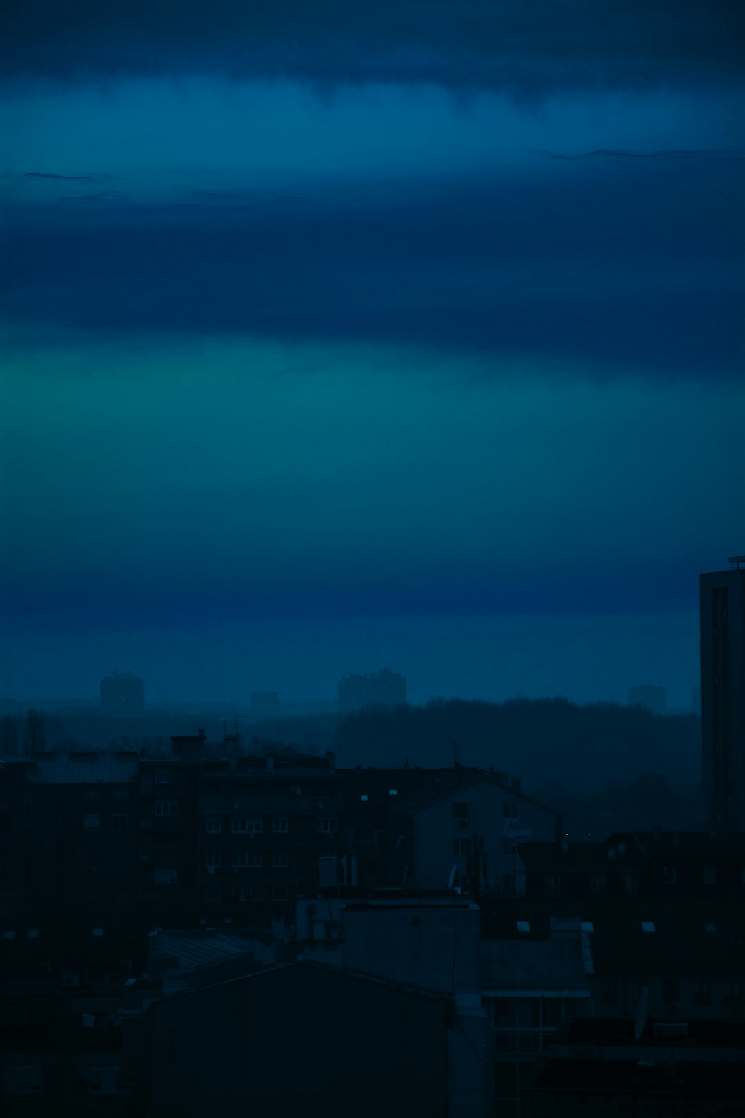  gray city buildings under white sky blue whale