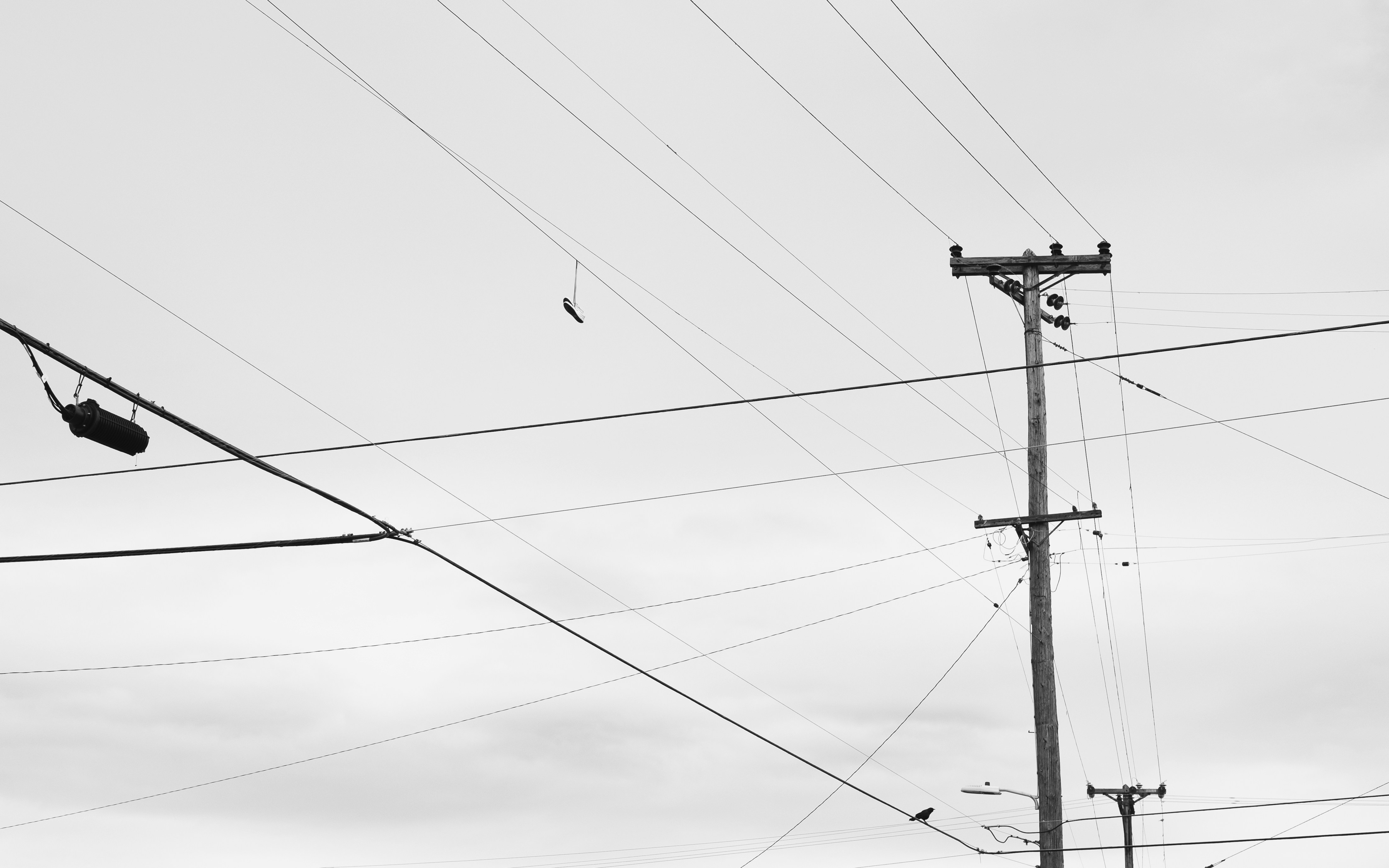 Photo by ngodavidhuy