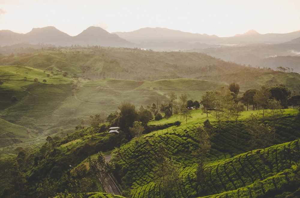 aerial photography of green grass covered mountain