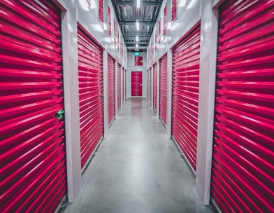 purple shutter doors