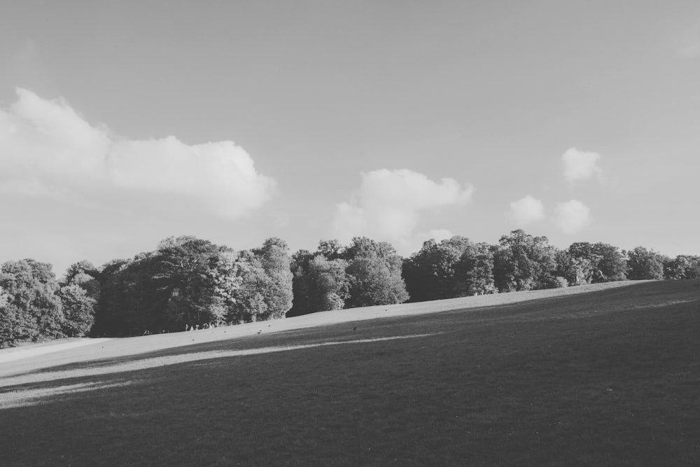 grayscale photo of beach