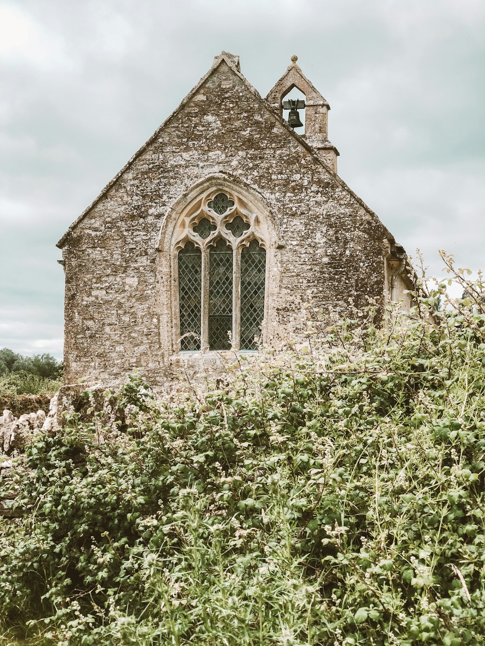 brown bricked church surrounded with green plants