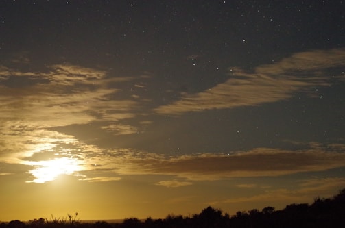 Illustration of a night sky filled with stars and a glowing moon.