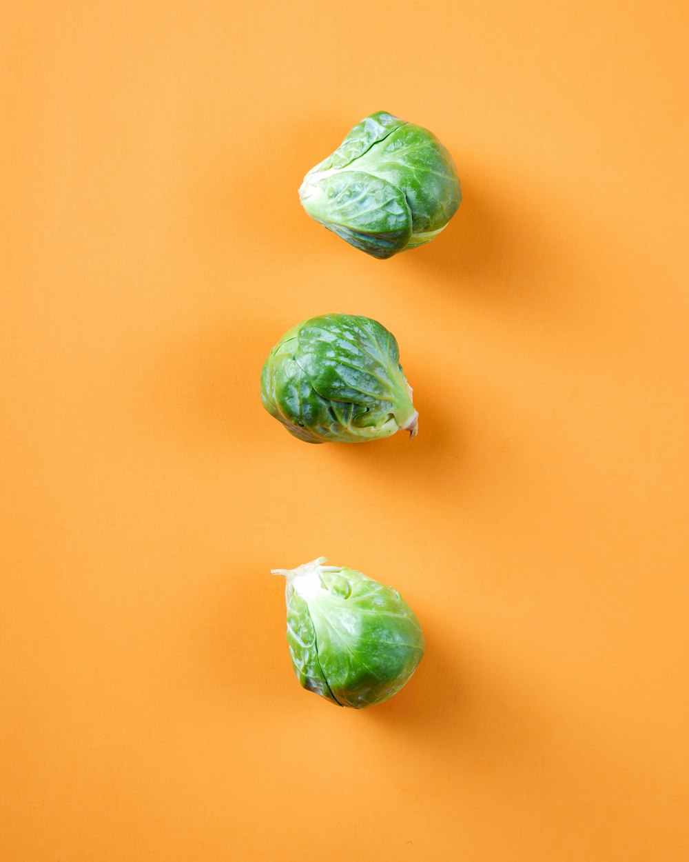 three green cabbage vegetables