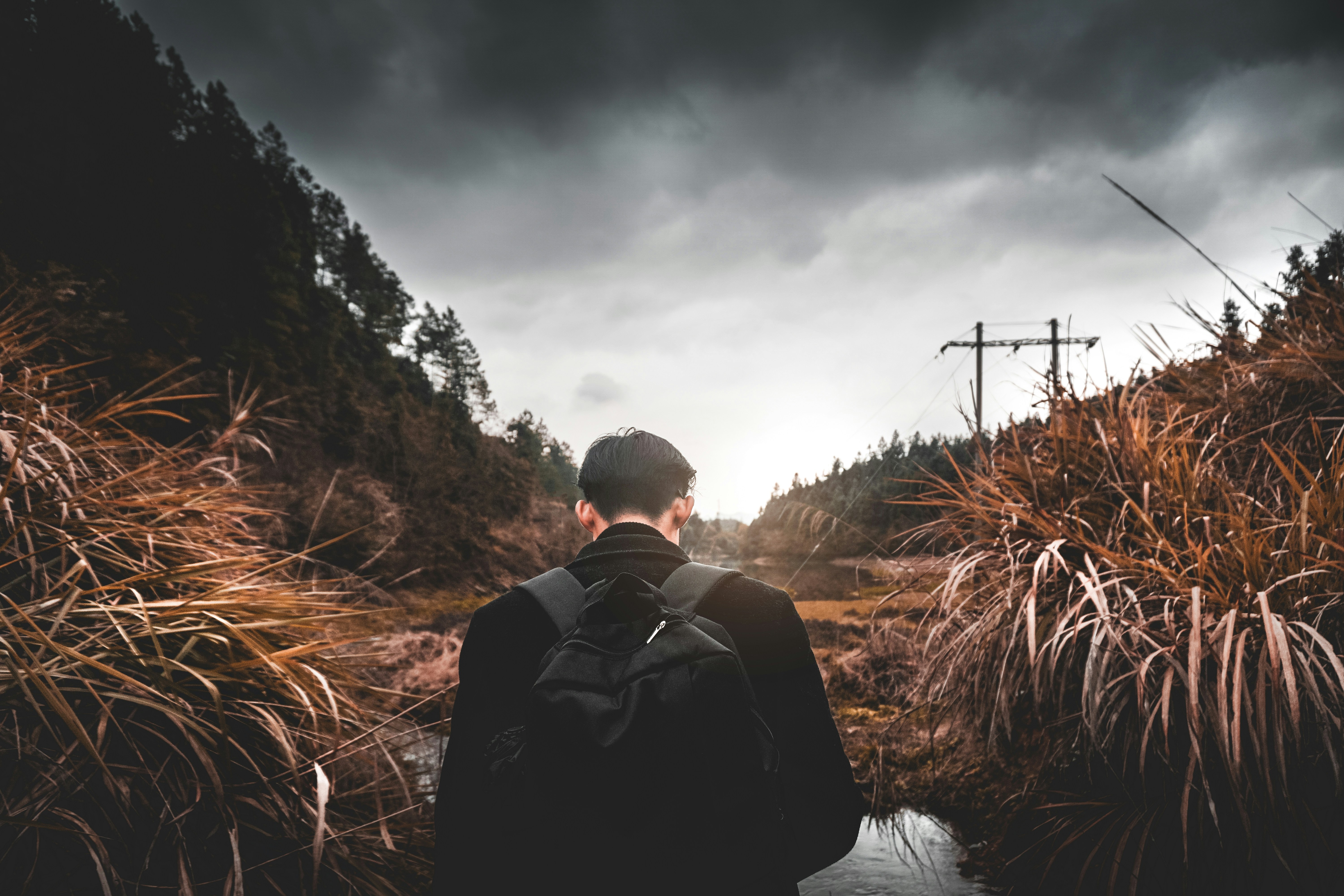 I.A.S.P.  LIFE COACH's image