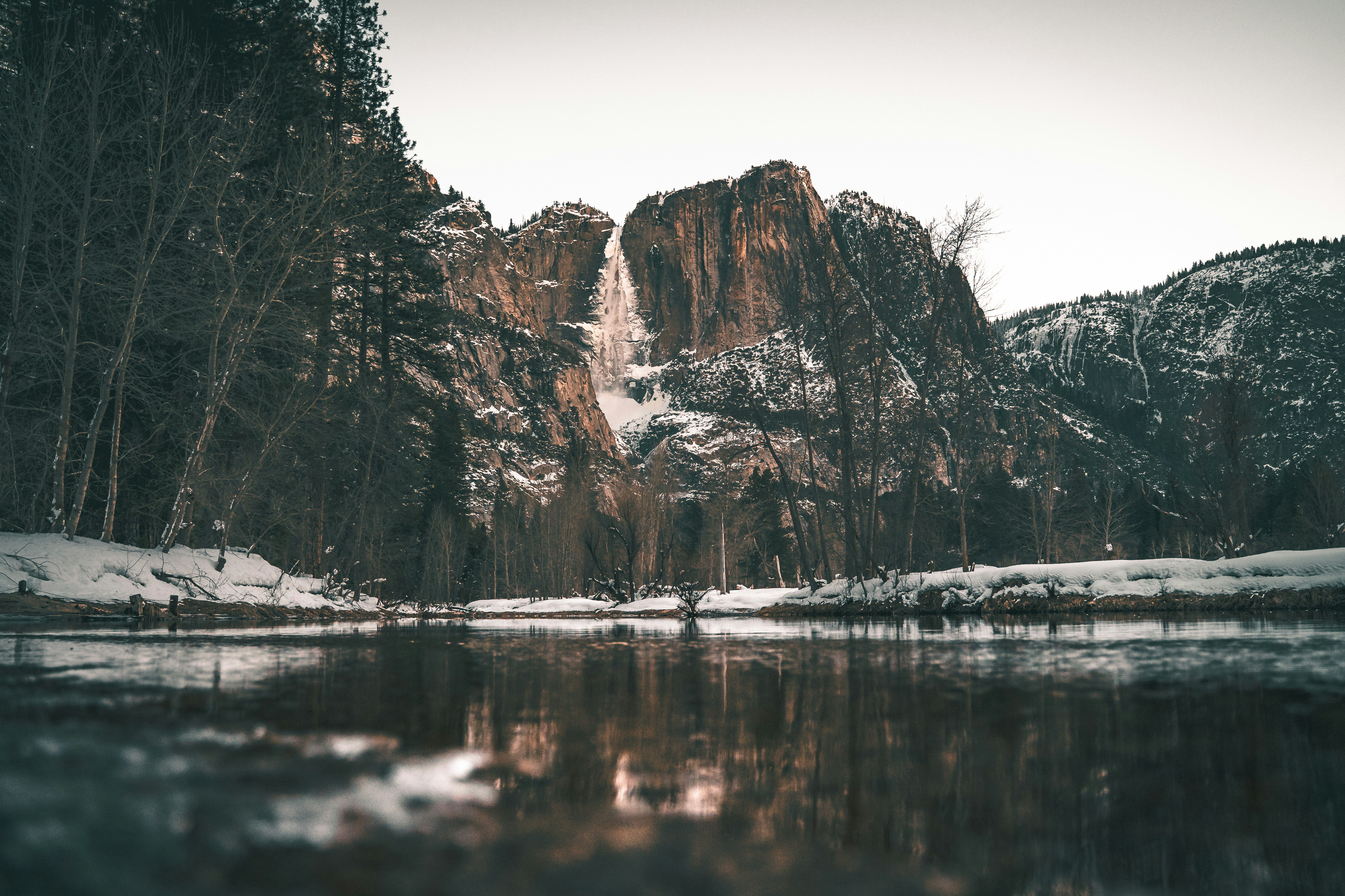 Photo by mischievous_penguins