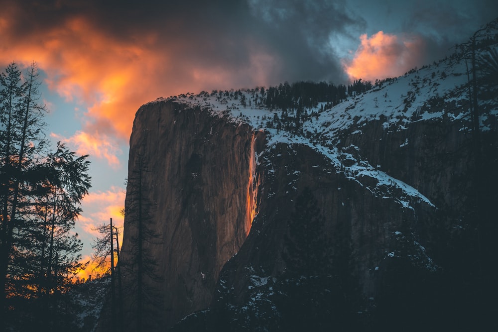 pine tree icy mountain scenery