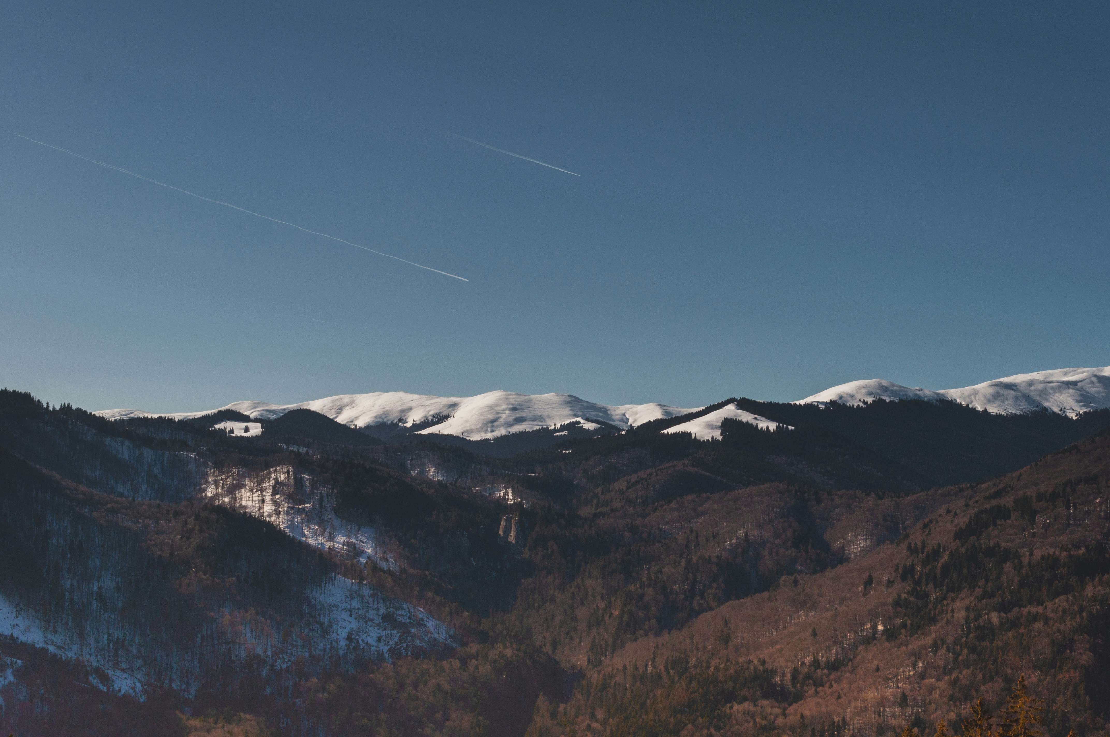 Photo by alexandramirghes