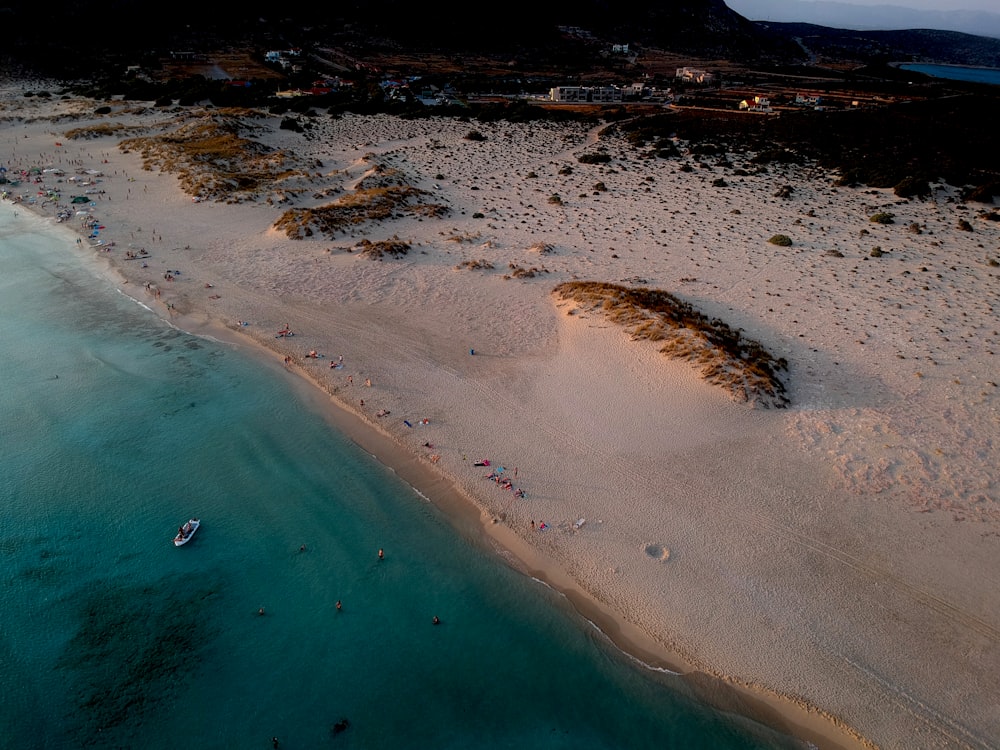 aerial photography of people on shore during daytime