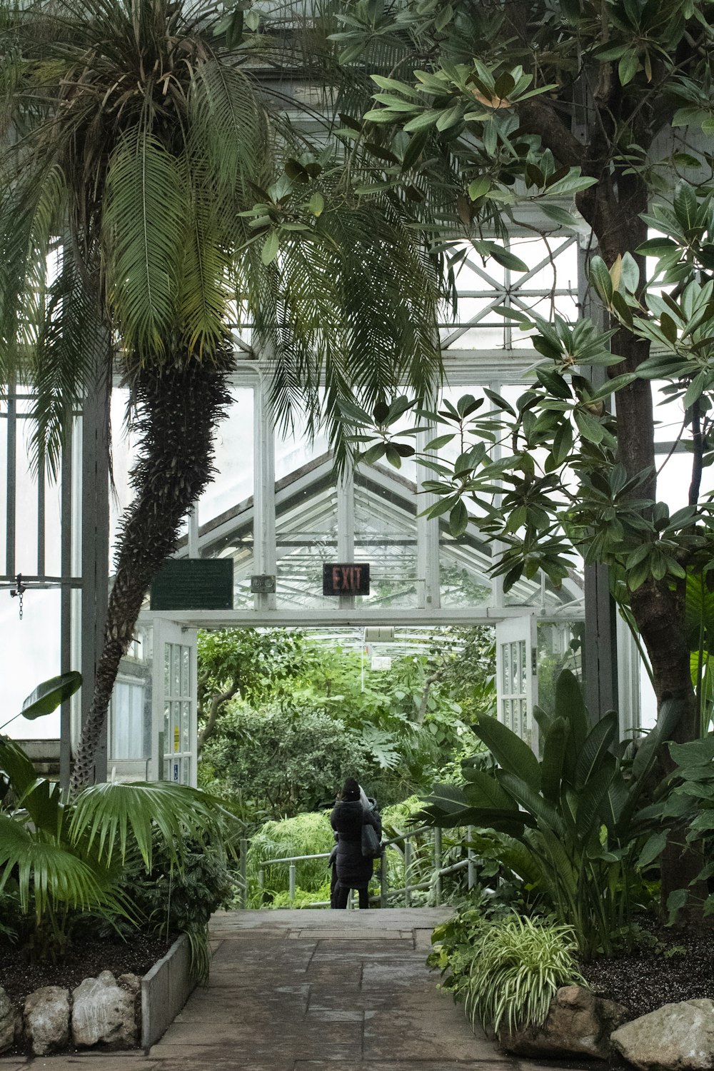 green-leafed plants and trees