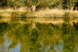 A peaceful riverside view near Eskipazar with reflections of trees.