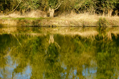 A peaceful riverside scene symbolizing spiritual flow and reflection.