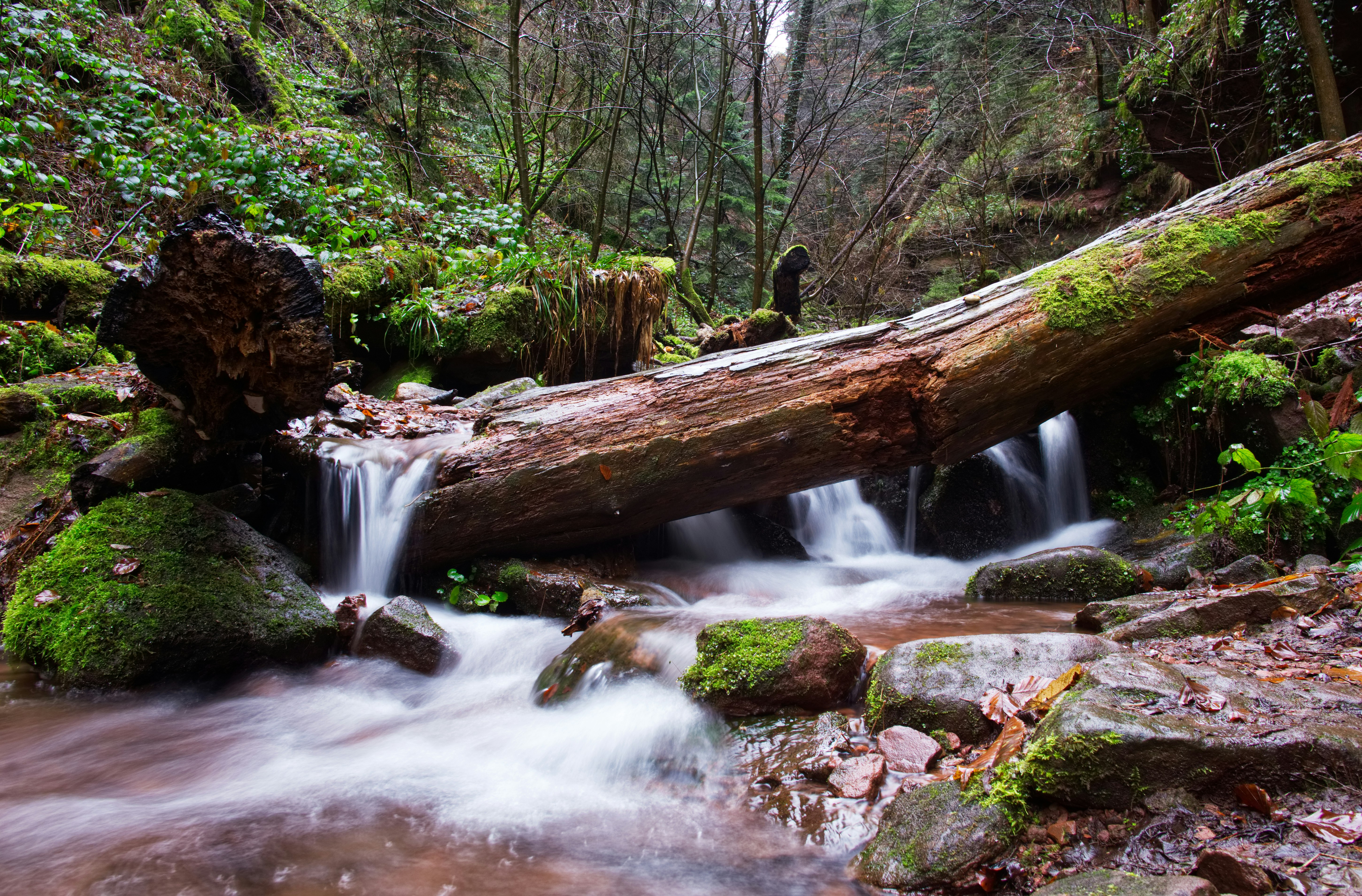 Photo by jhvisuals_de