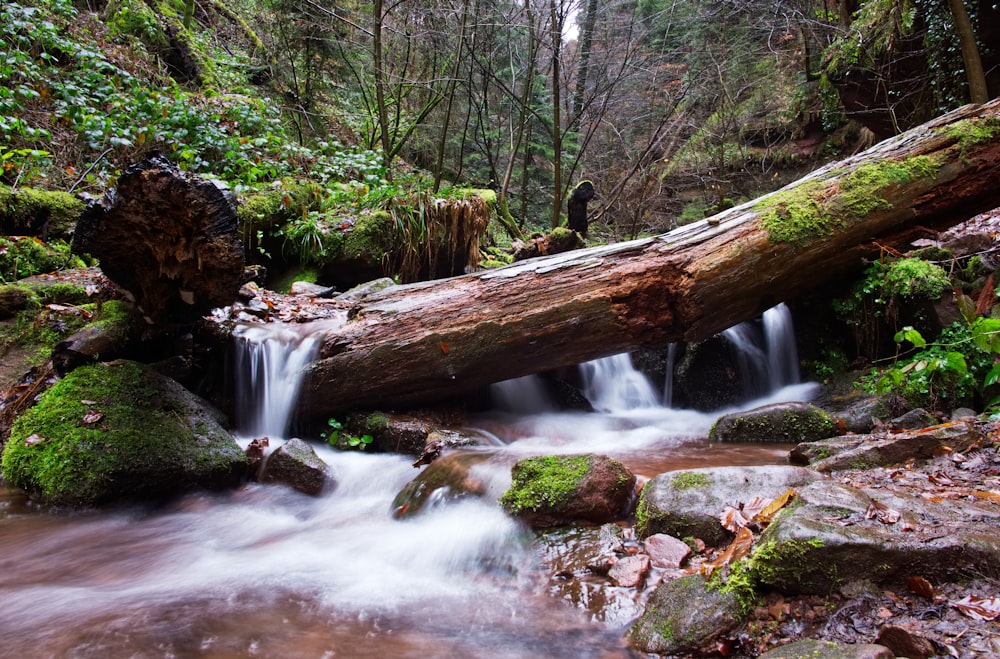 river timelapse