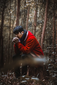 A person dressed in a bright red jacket sits on a tree stump in a dense, atmospheric forest, appearing contemplative. The background is filled with tall trees and soft, muted foliage.