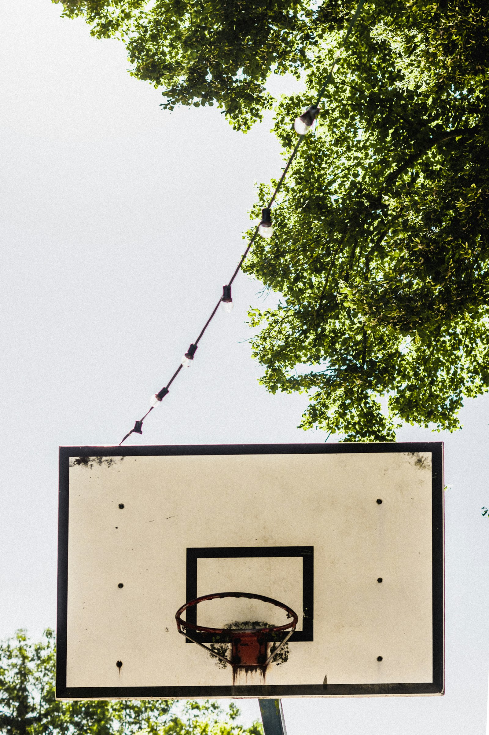 Pentax smc DA 50mm F1.8 sample photo. Basketball hoop under green photography