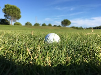 white golf ball on green grass field