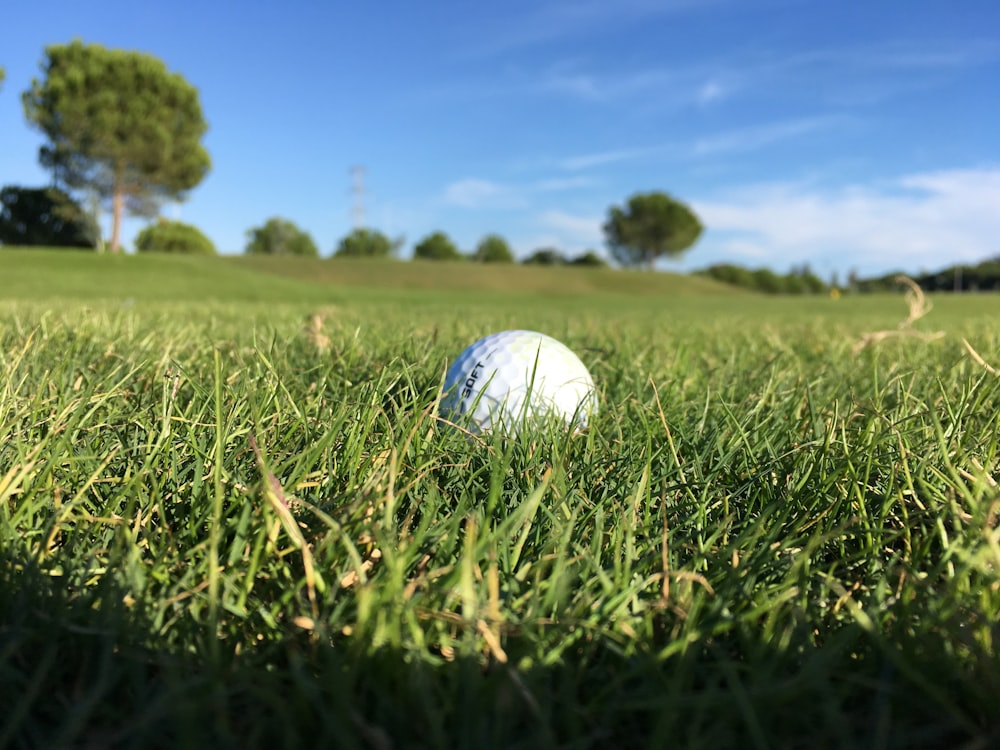 white golf ball on green grass field